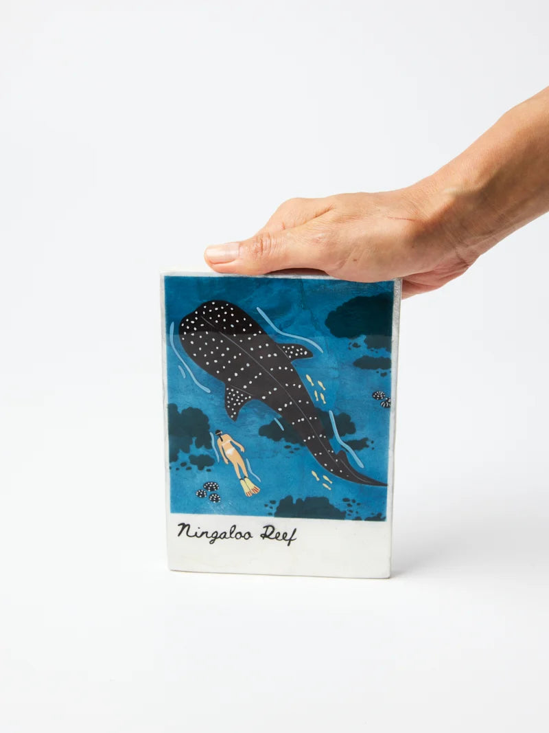 Snapshot Ningaloo Tile