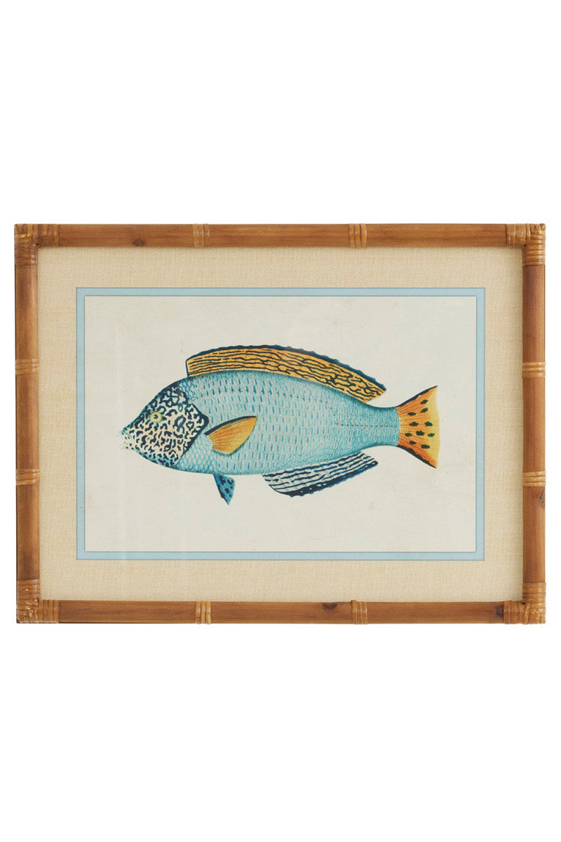 Nemo Fish Prints