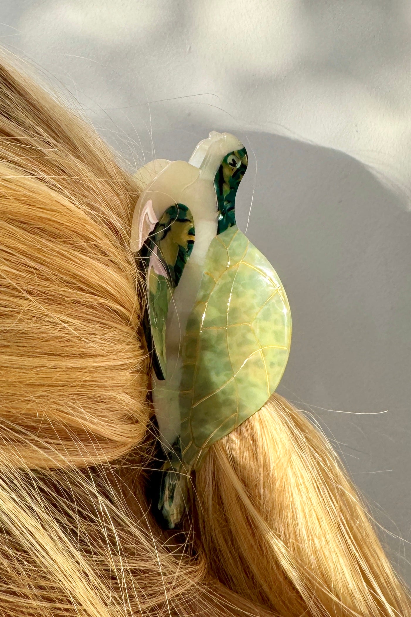 Sea Turtle Claw