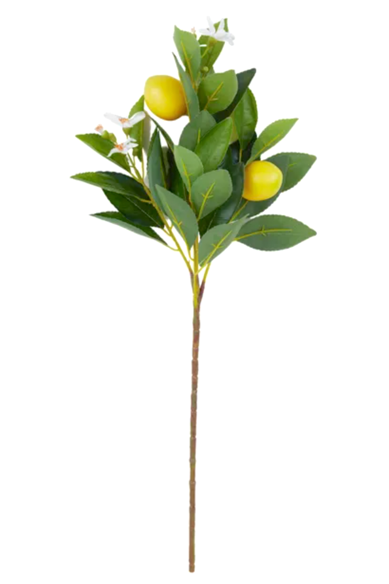 Lemon Stem