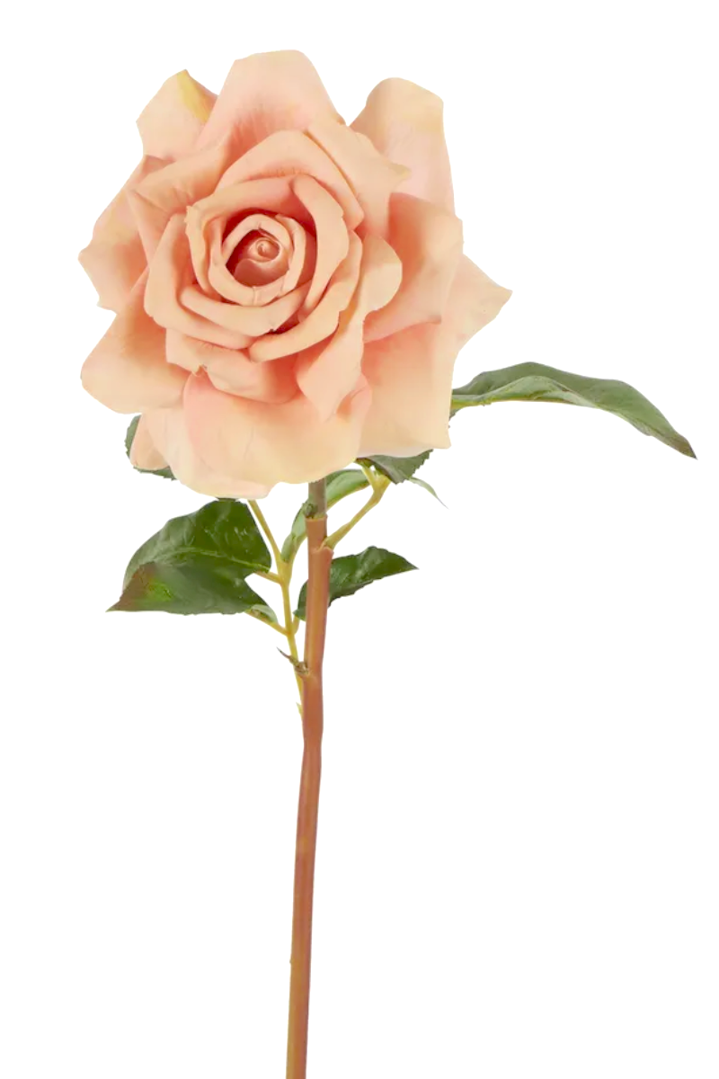 True Touch Rose FINAL SALE