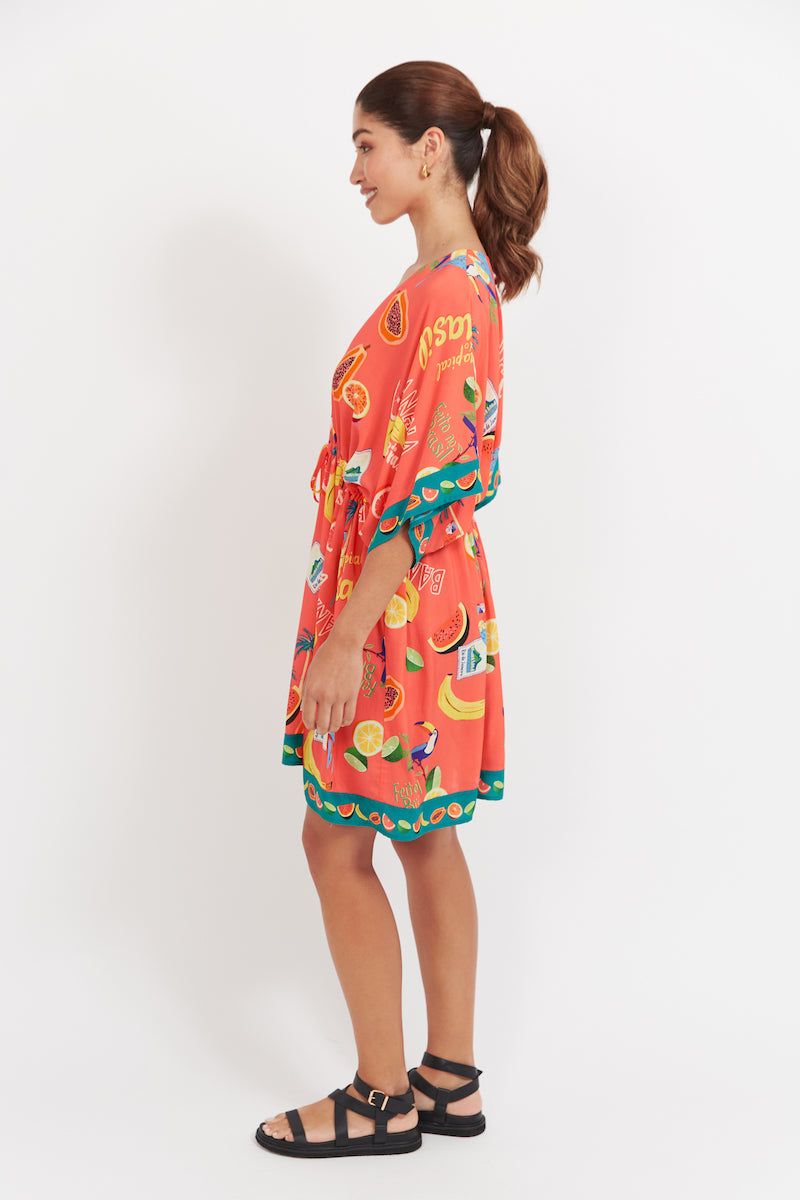 Cabana Dress, Coral