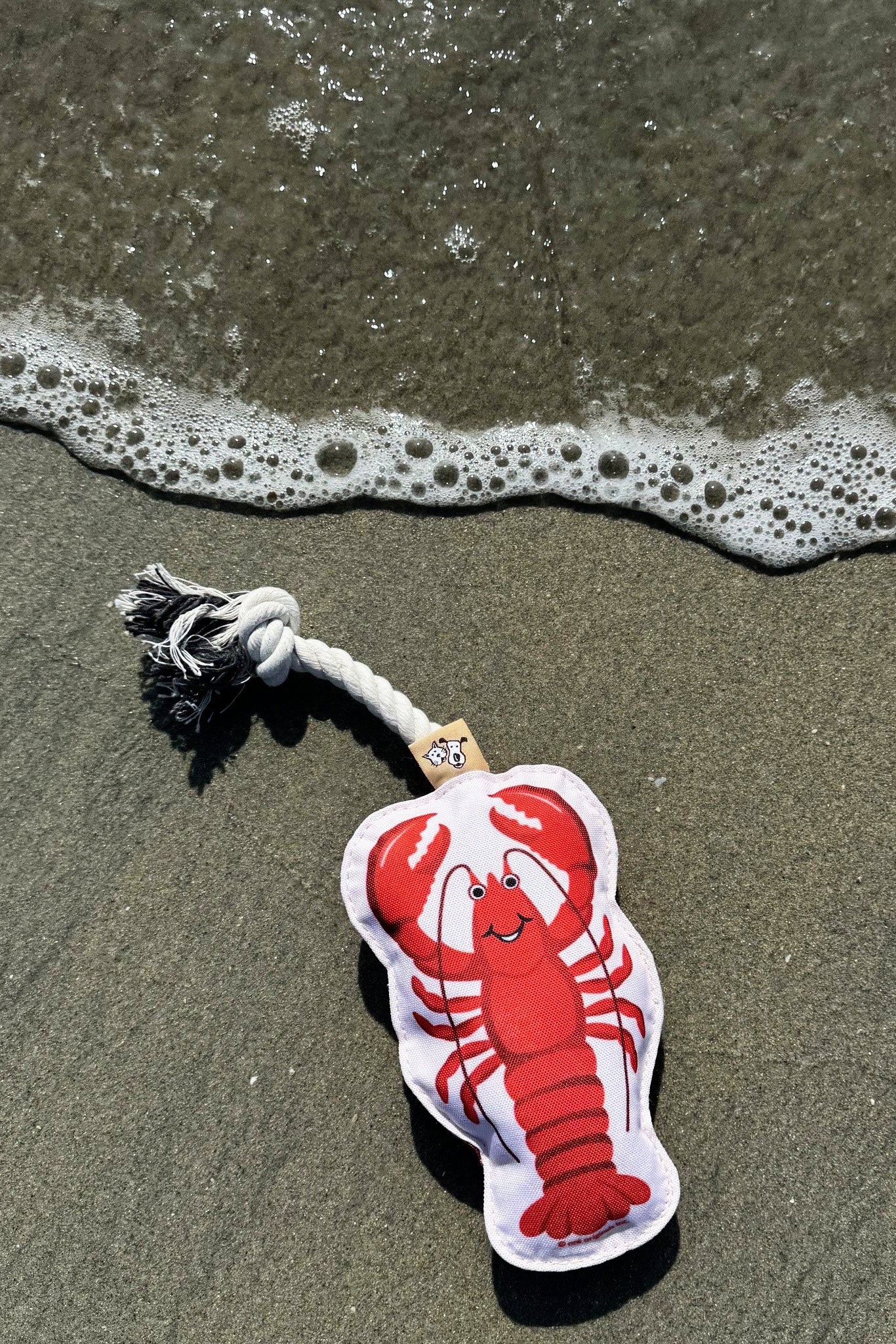 Red lobster-shaped toy on a rope with a black base on a sandy beach.