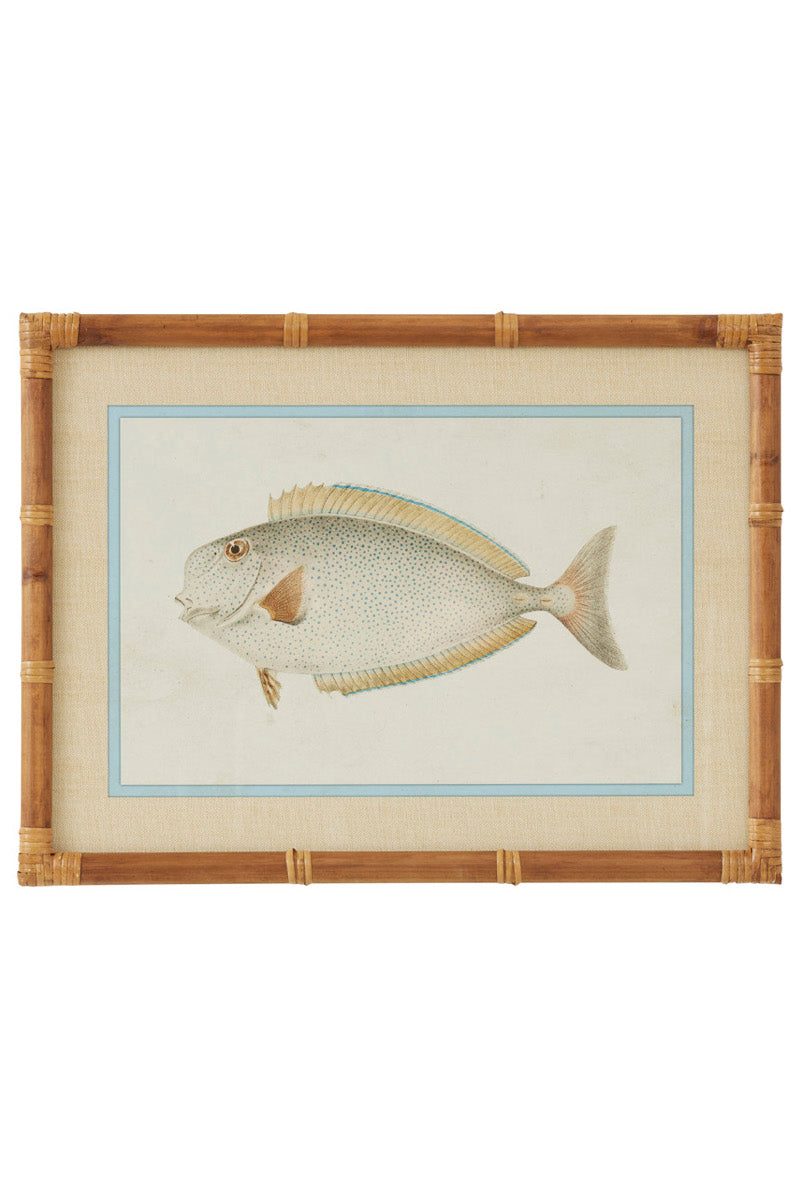 Nemo Fish Prints