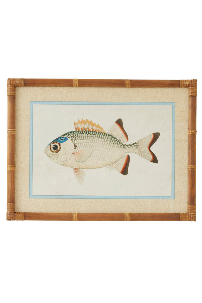 Nemo Fish Prints