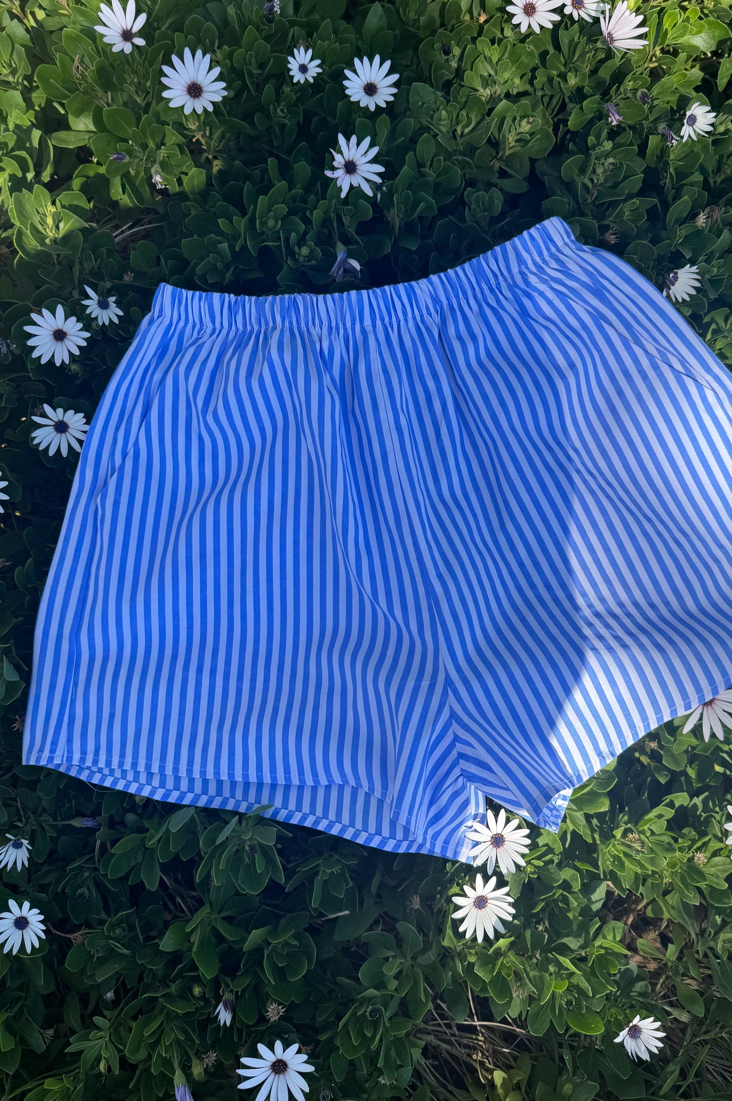 Oslo Shorts, Blue