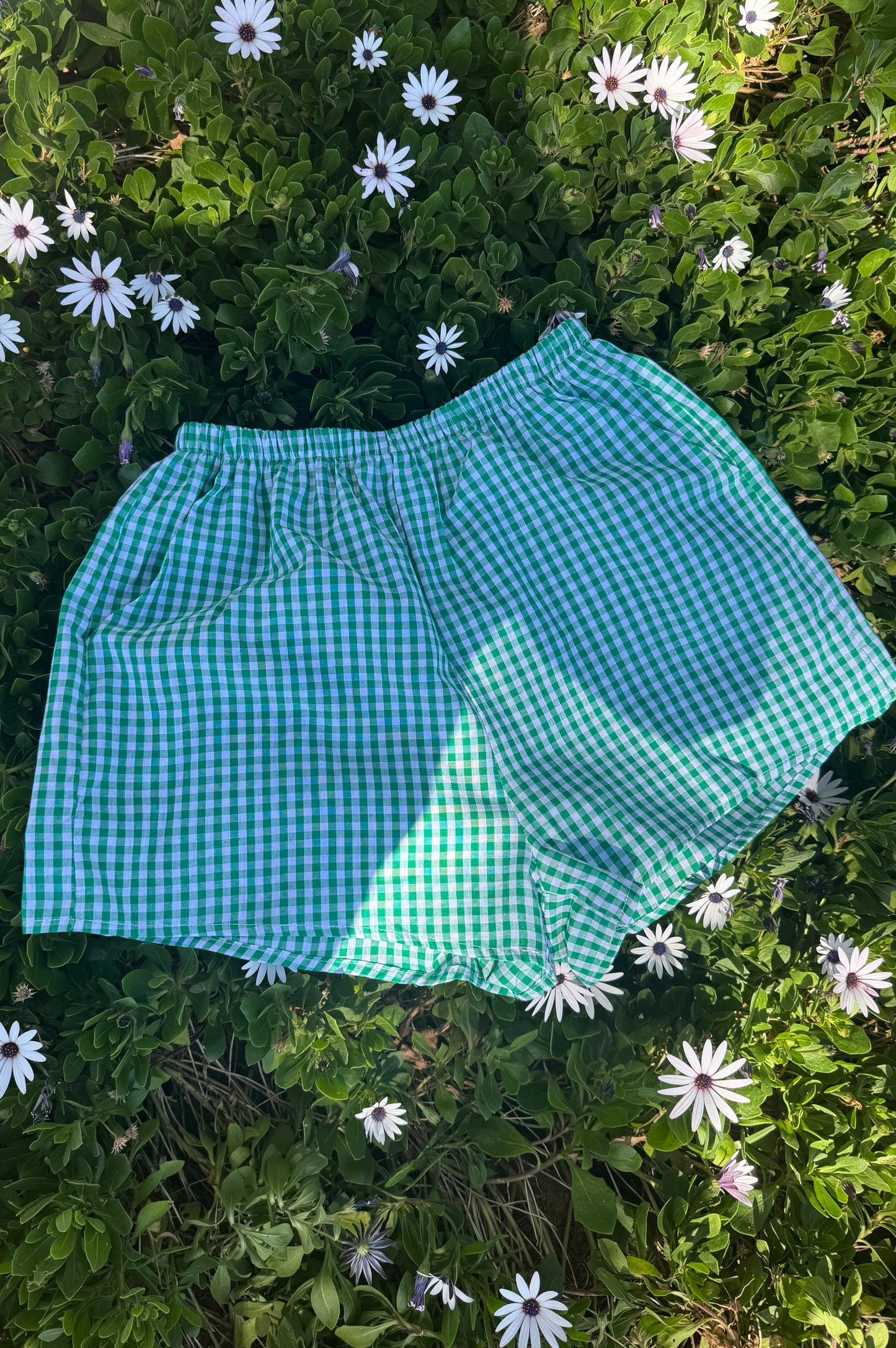 Munich Shorts, Green