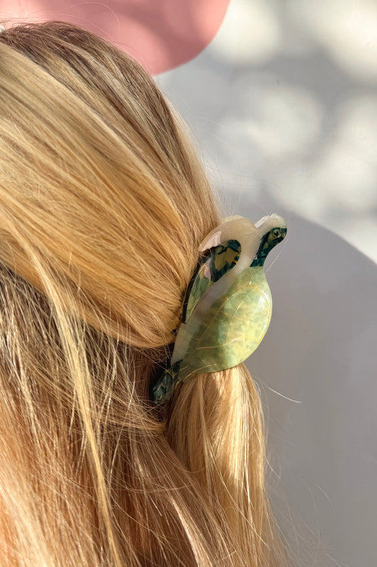 Sea Turtle Claw