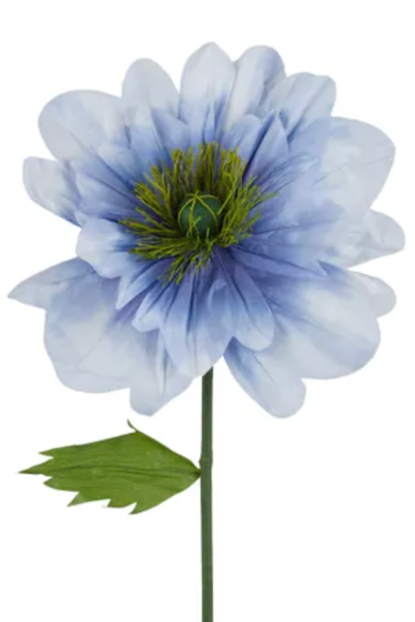 Paper Poppy, Blue