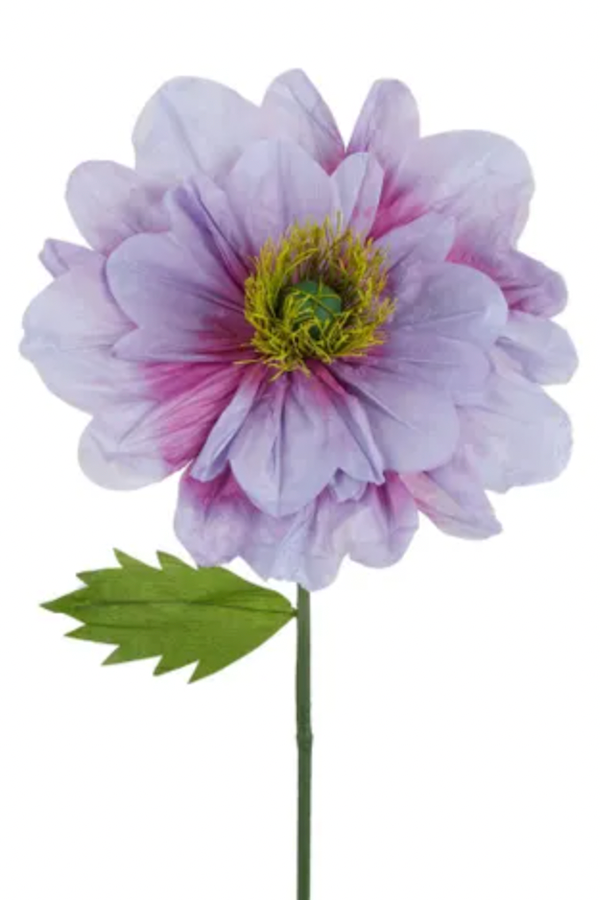 Paper Poppy, Lilac