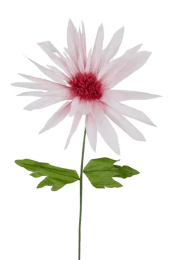 Paper Daisy, Soft Pink