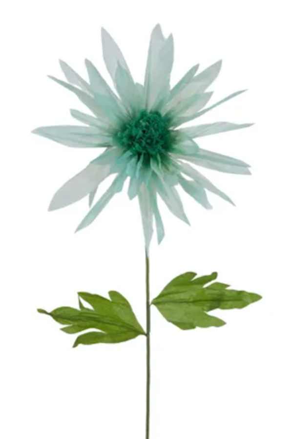 Paper Daisy, Mint