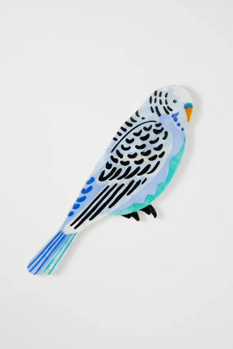 Aerial Budgie Wall Art