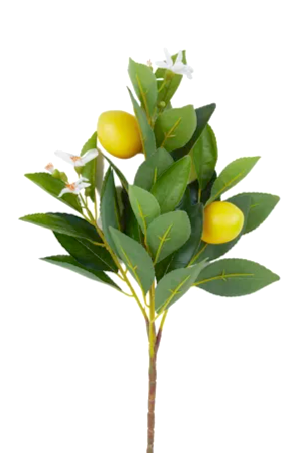 Lemon Stem