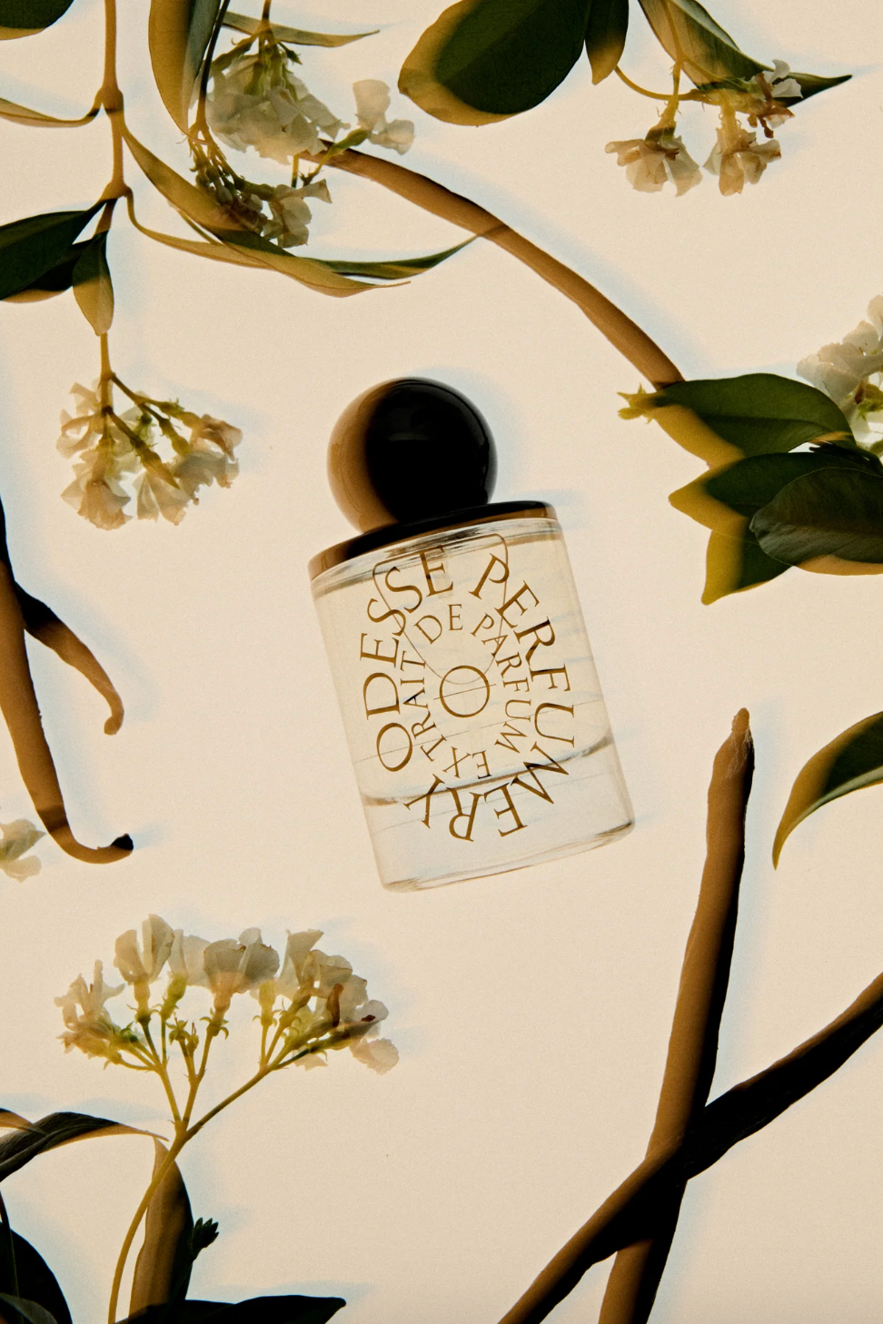 Vanilla Vanilla Extrait De Parfum