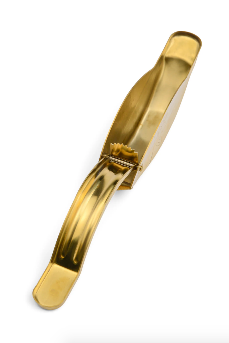 The Stevie Fish Citrus Juicer