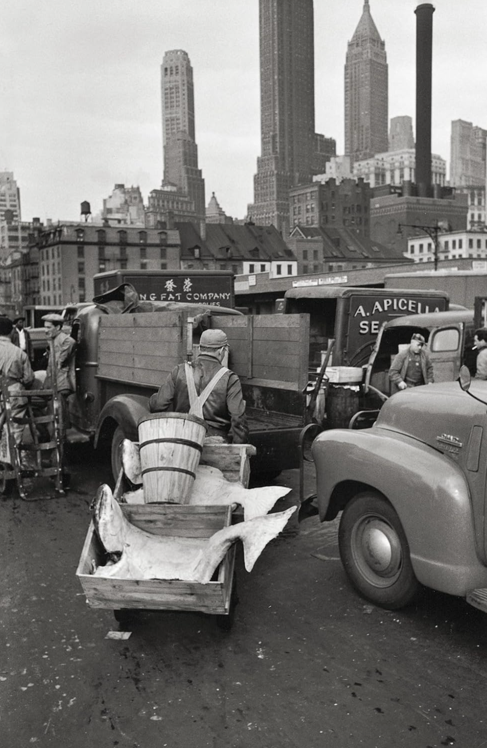 Elliott Erwitts’s New York