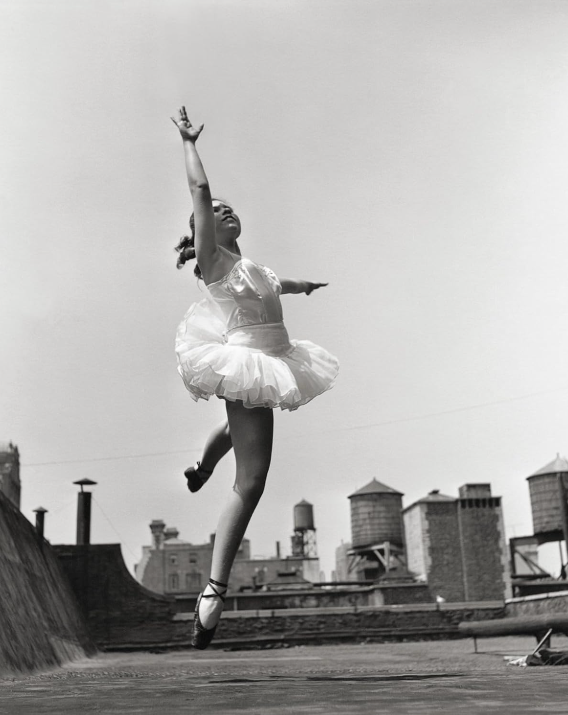 Elliott Erwitts’s New York