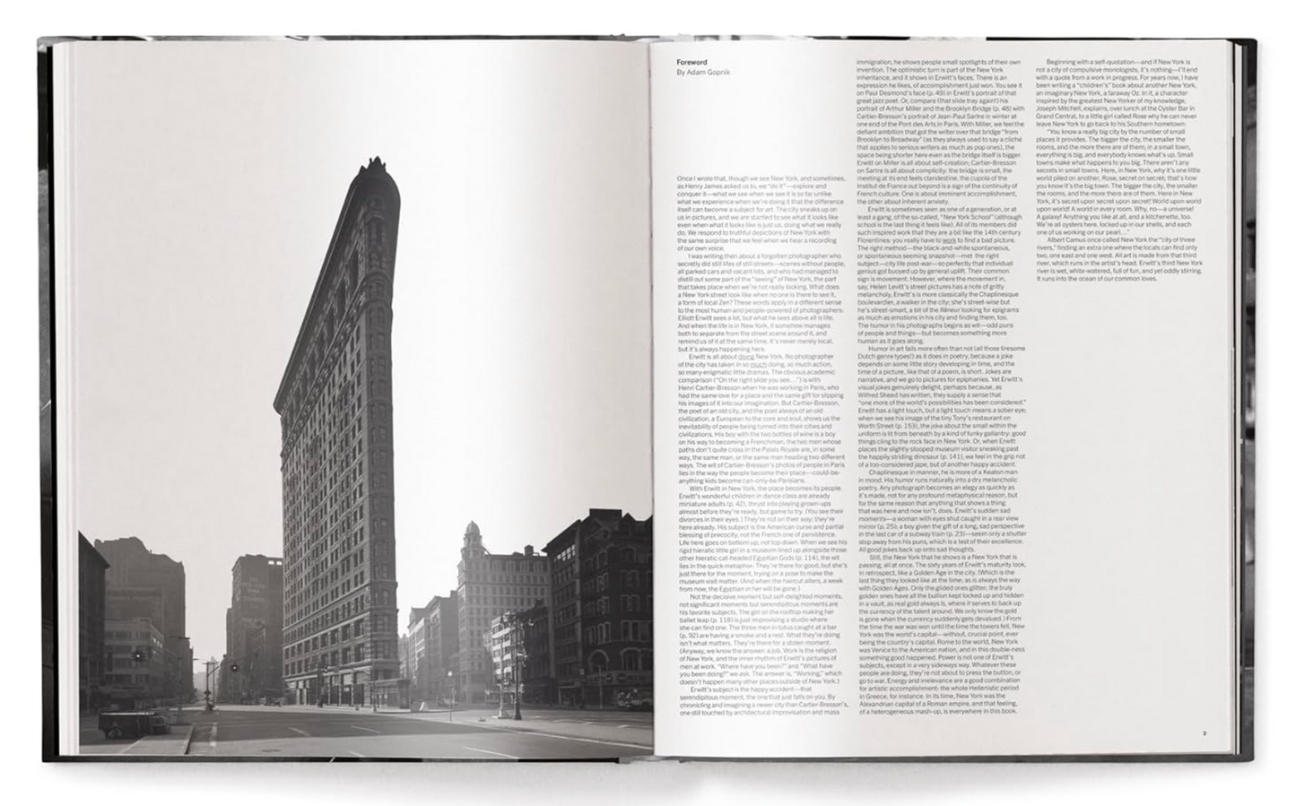 Elliott Erwitts’s New York