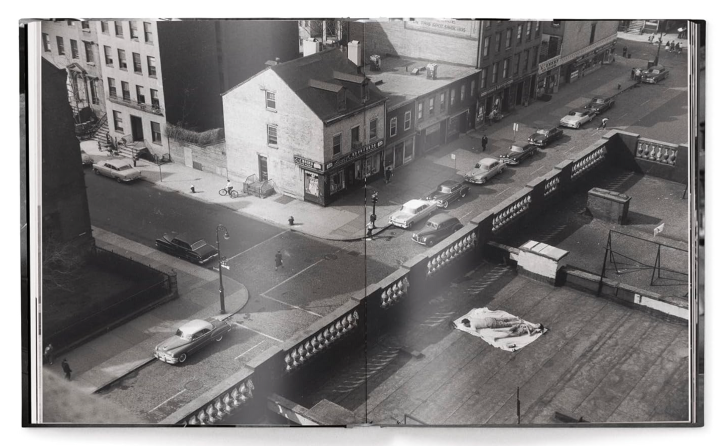 Elliott Erwitts’s New York
