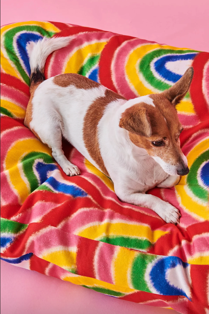 Dog Bed, Rainbow Spray