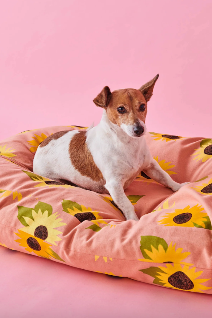 Dog Bed, Sunflower Sunshine