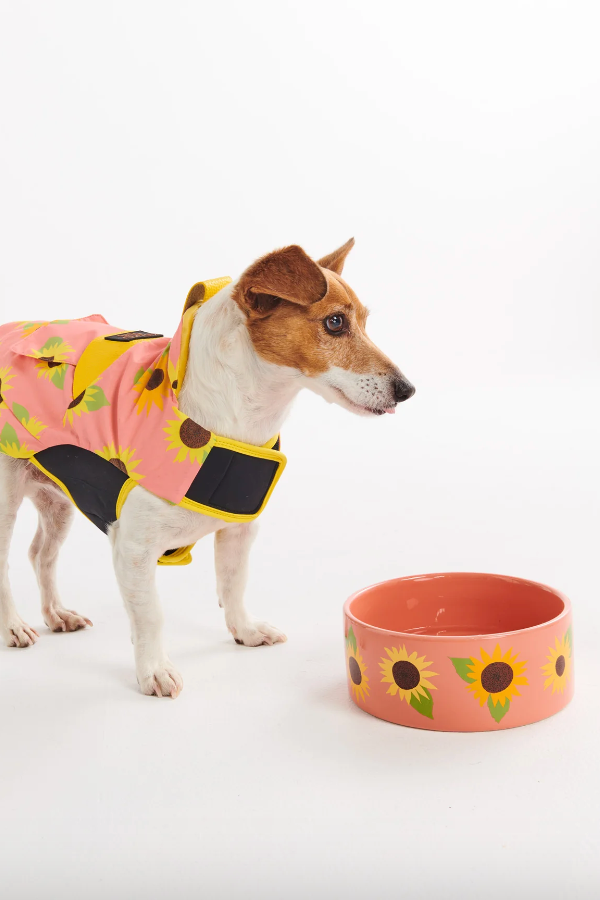 Dog Bowl, Sunflower Sunshine