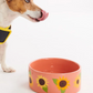 Dog Bowl, Sunflower Sunshine