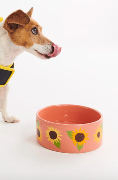 Dog Bowl, Sunflower Sunshine