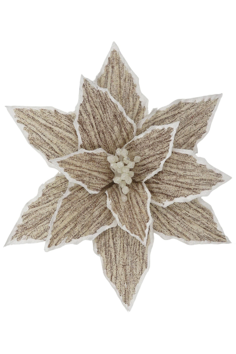 Clip on Poinsettia, Natural White