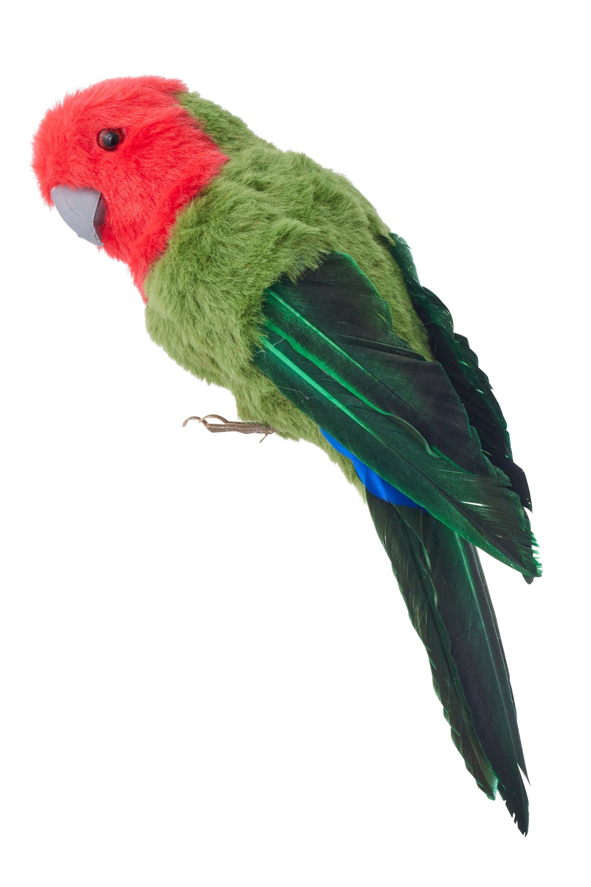 King Parrot Decoration