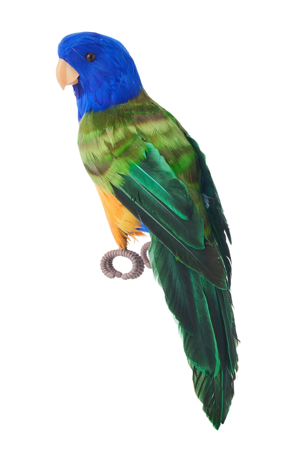Rainbow Lorikeet Ornament