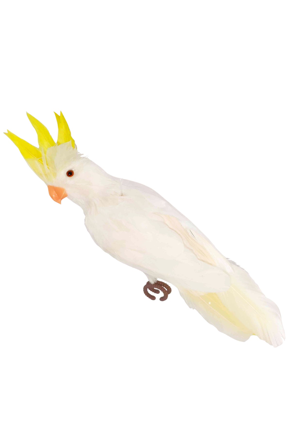 Cockatoo Decoration