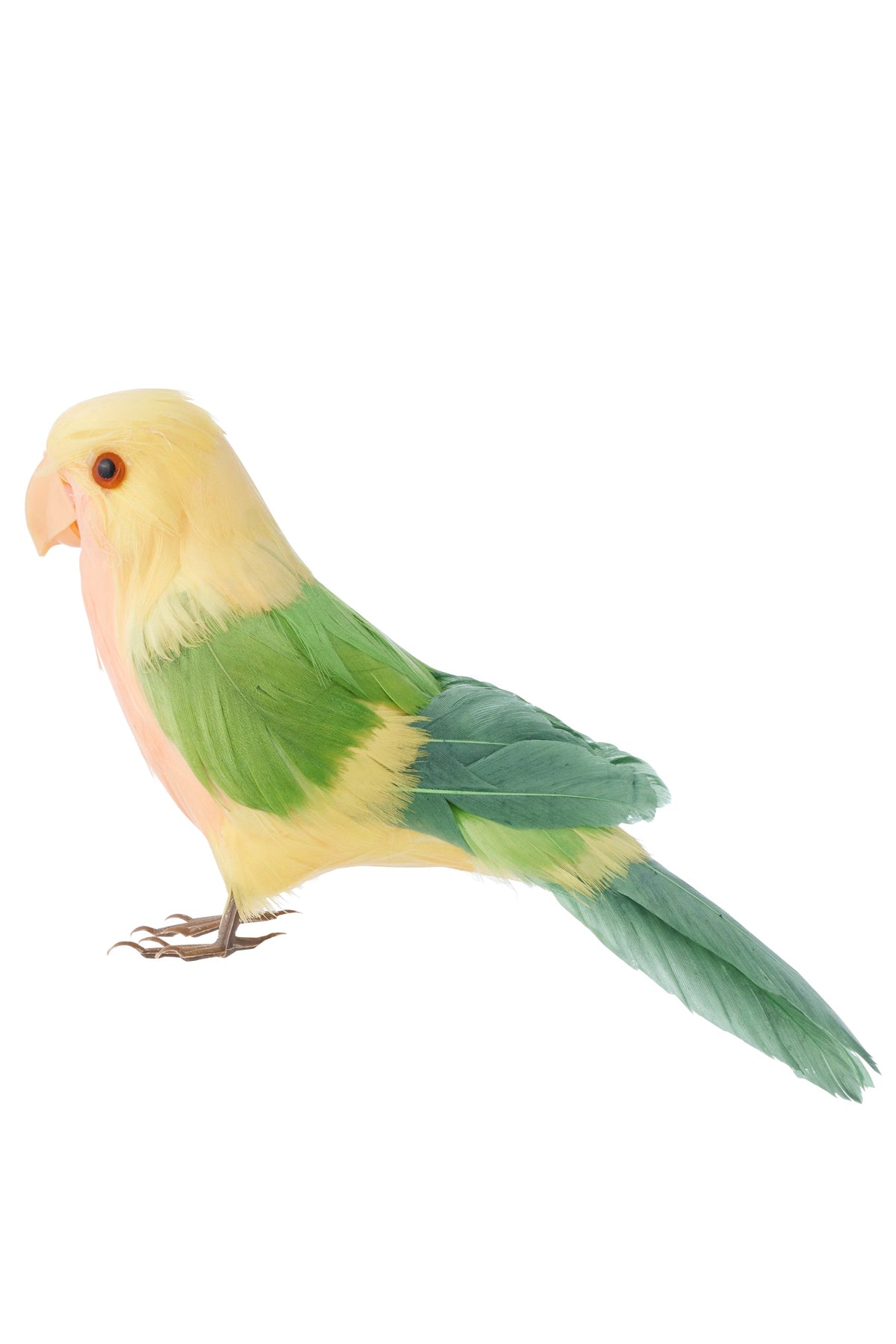 Budgie Decoration