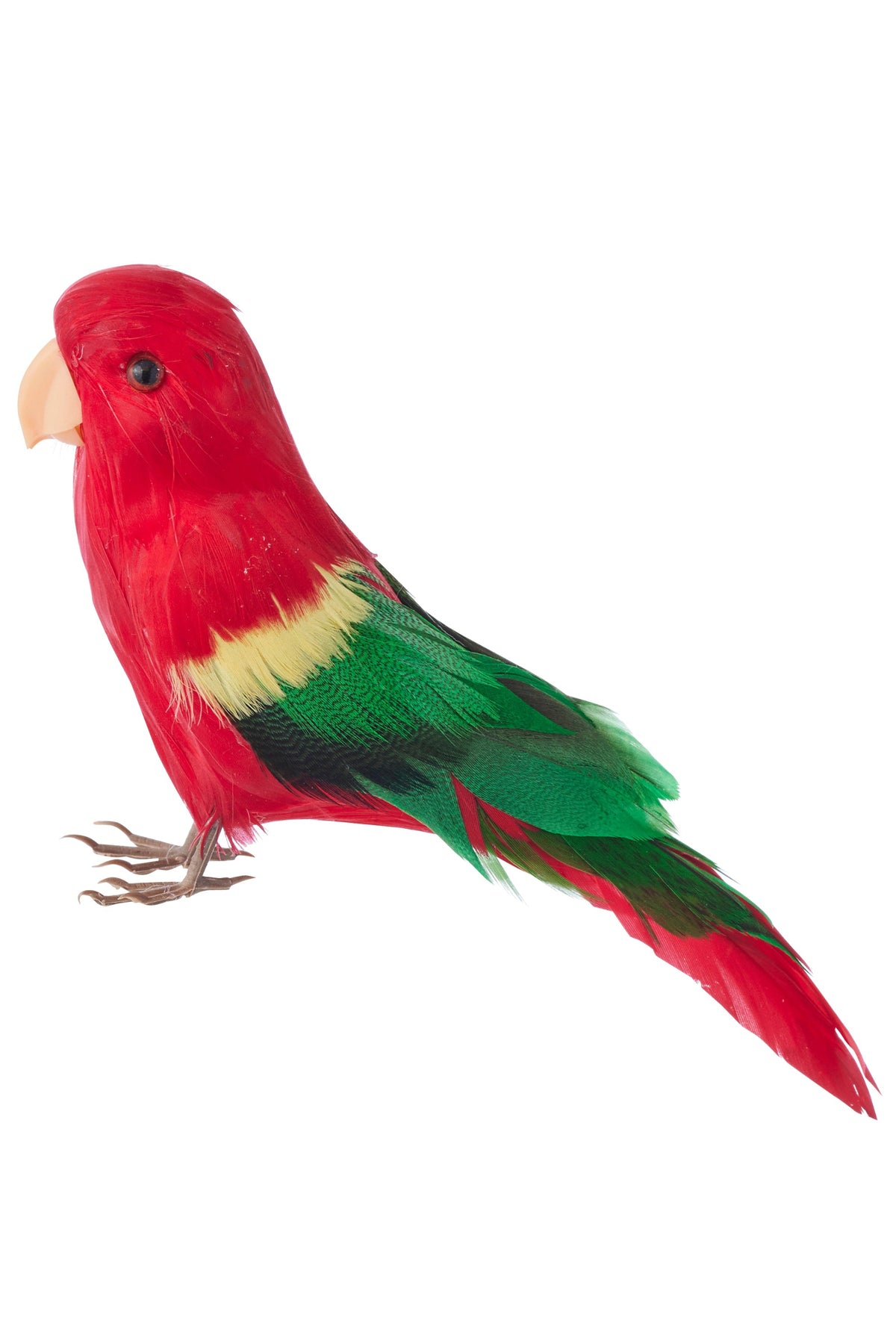 Budgie Decoration
