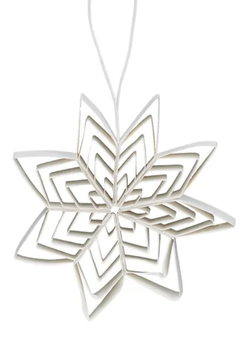 Paper Snowflake