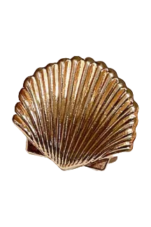 Cayman Hair Clips