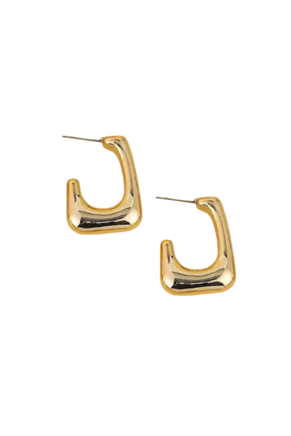 Hitachi Earrings