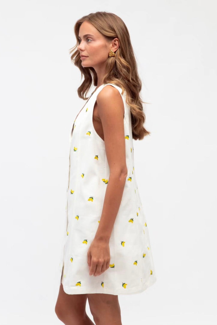 Lemon Lover Dress