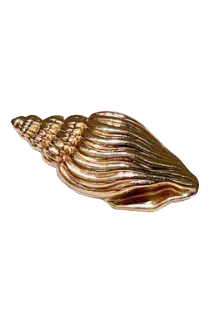 Cayman Hair Clips